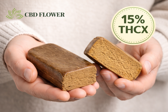 Holding-CBD-hash-with-care.png